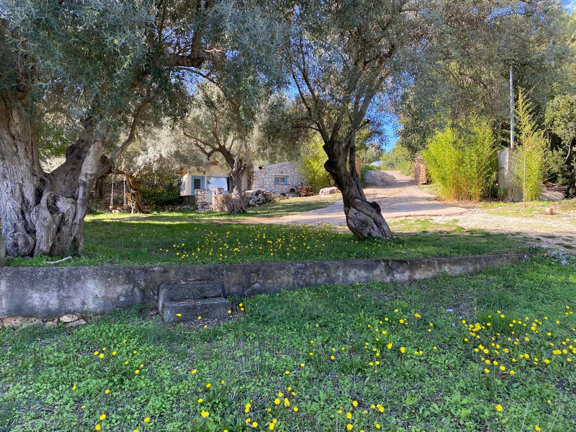 Olive Grove - Excellent View Frinion