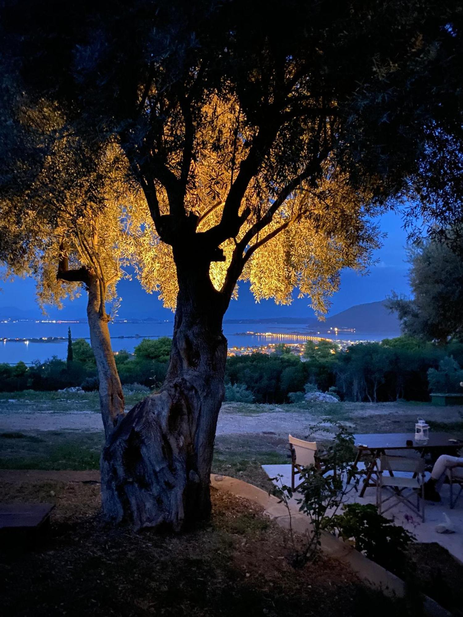 Olive Grove - Excellent View Holiday home