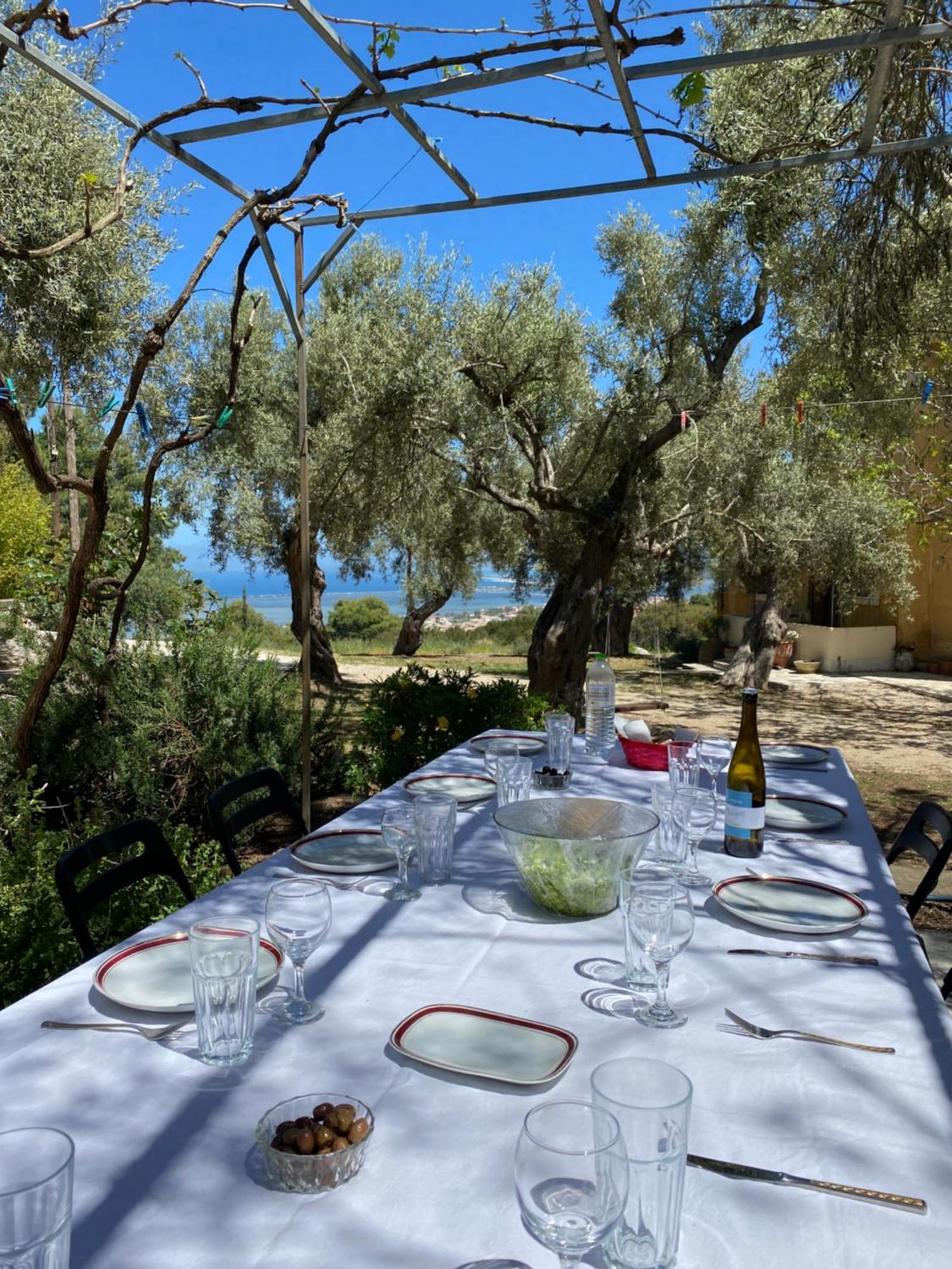 Holiday home Olive Grove - Excellent View *