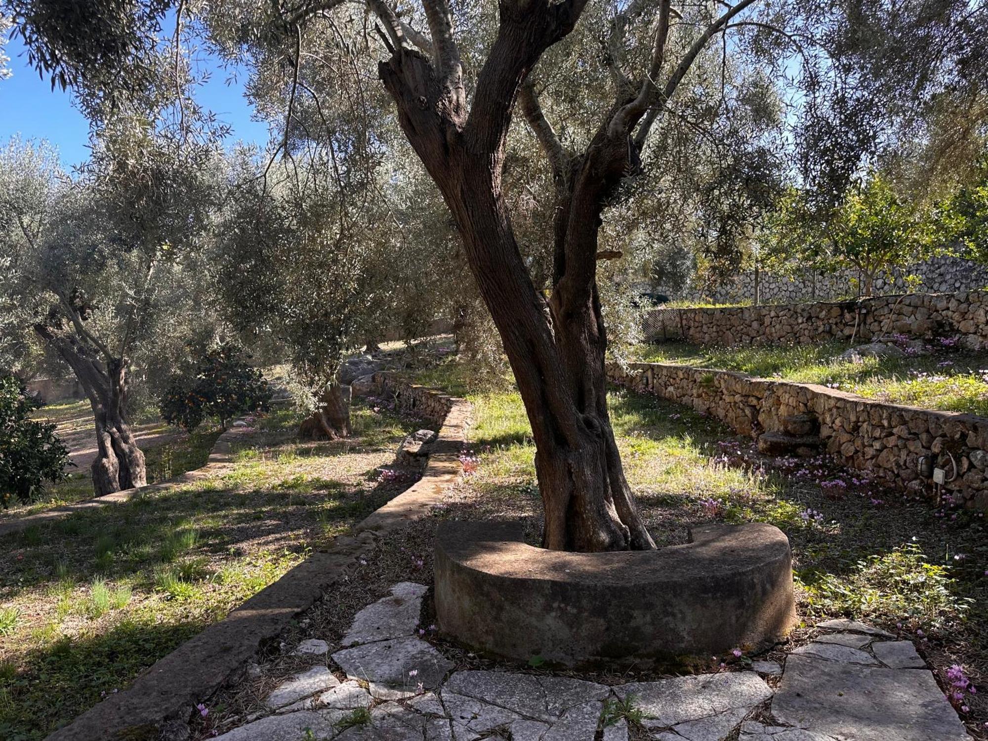 Holiday home Olive Grove - Excellent View *
