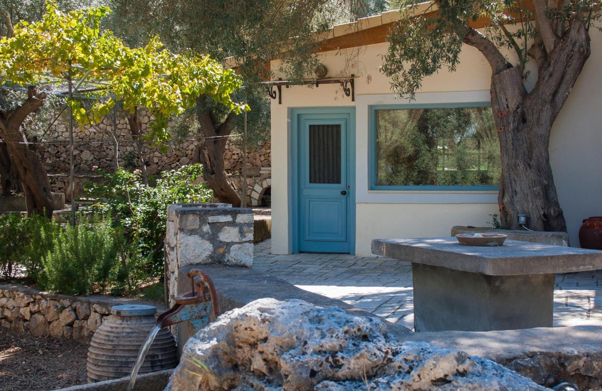 Olive Grove - Excellent View *