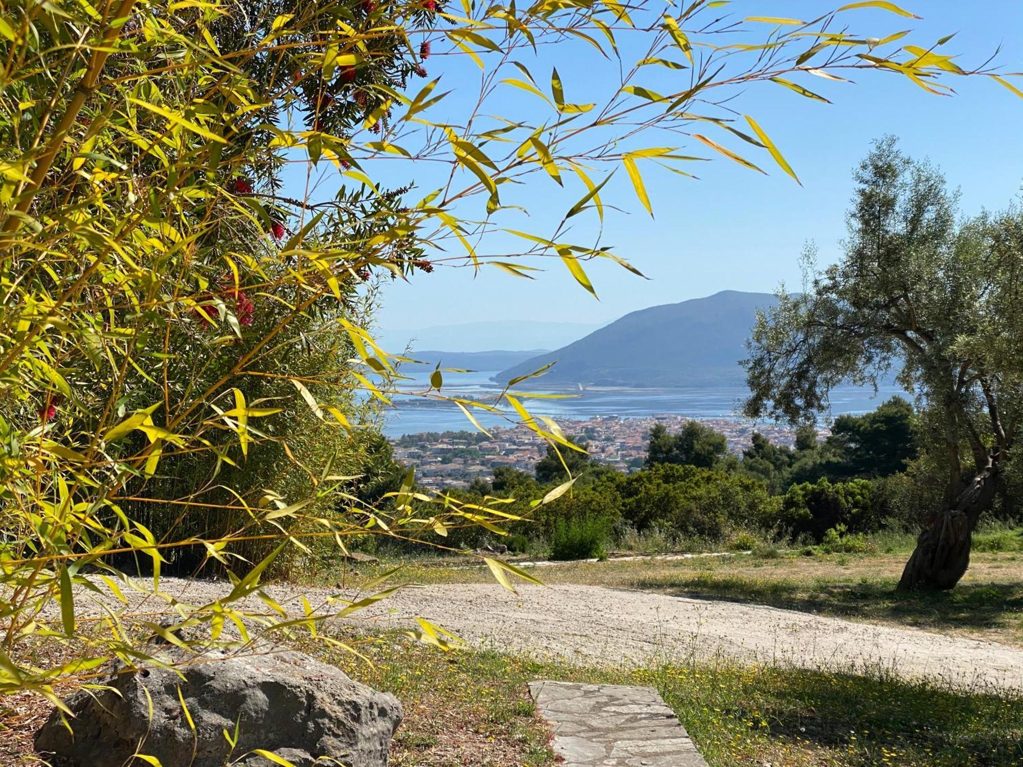 Holiday home Olive Grove - Excellent View