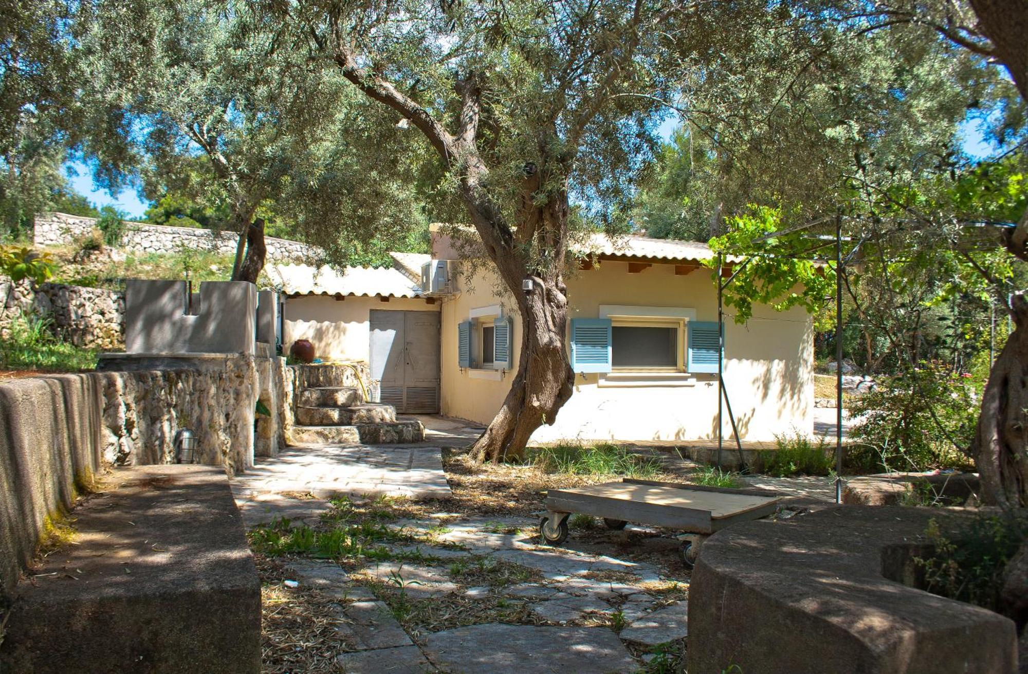 Olive Grove - Excellent View *