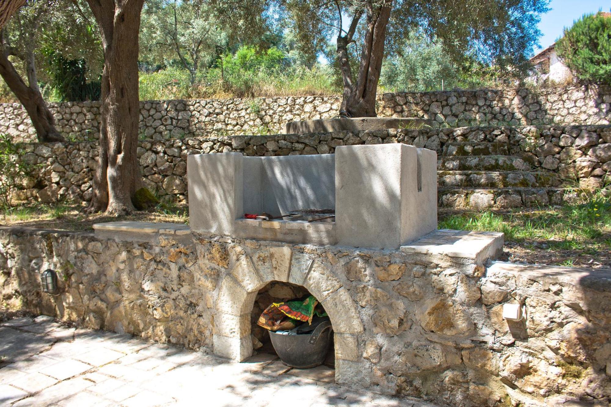 Olive Grove - Excellent View