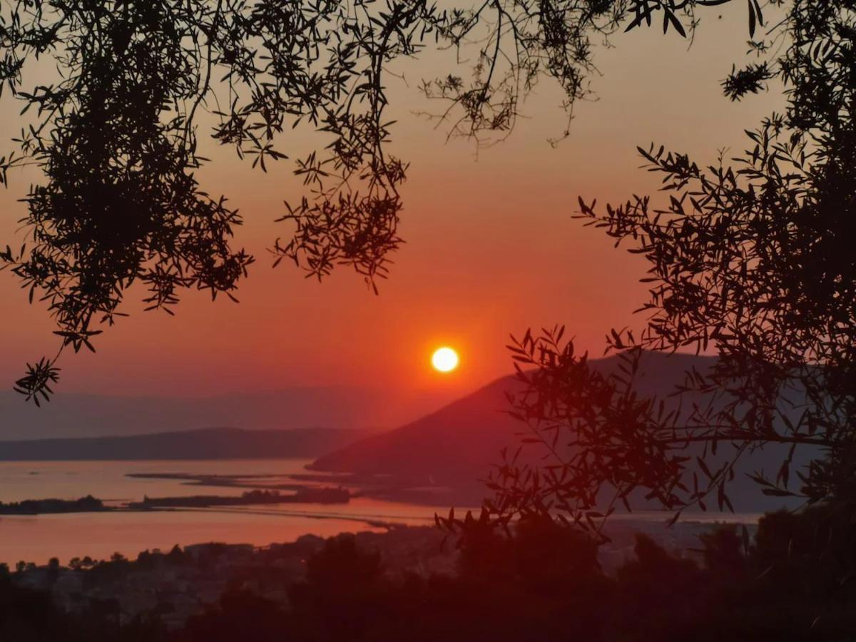 Olive Grove - Excellent View * Frinion