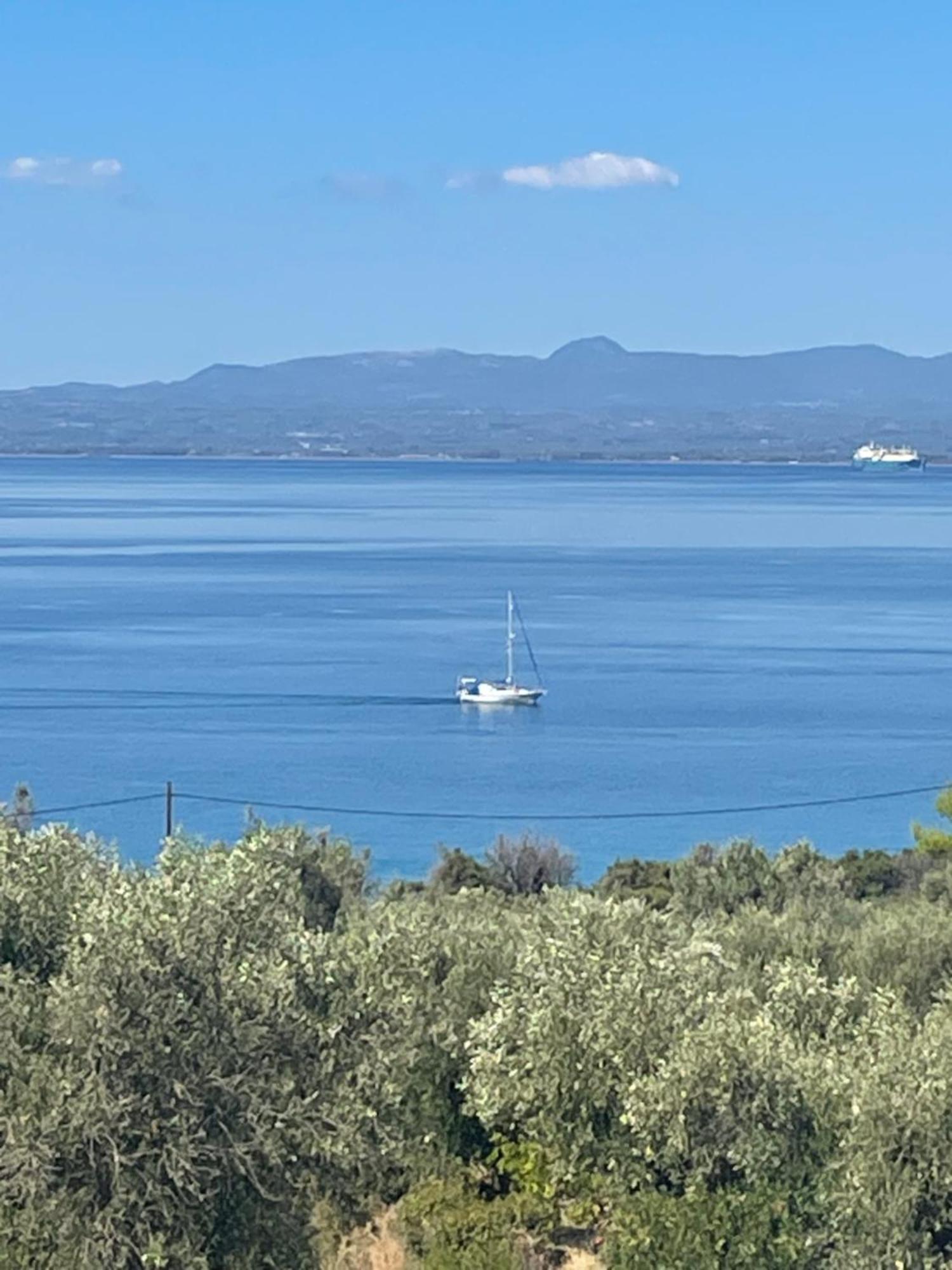 Dream Zen At Mantineia *