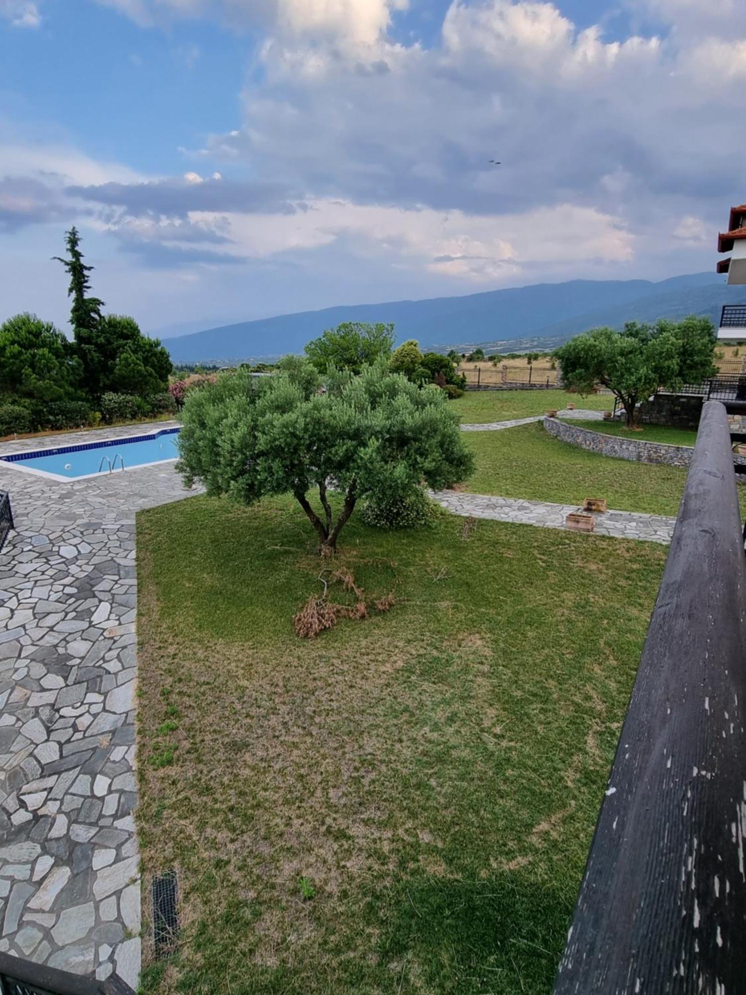 Villa Olympus Pantheon Luxury
