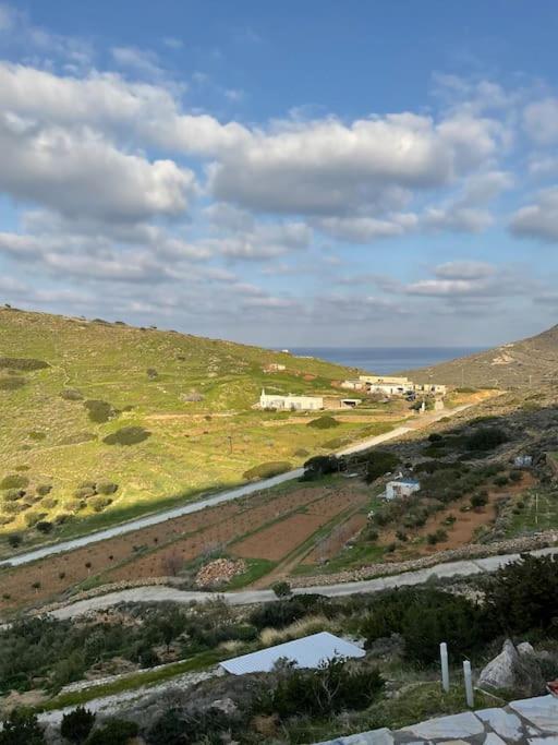 Villa Great House In A Beautiful Olive Grove Kini