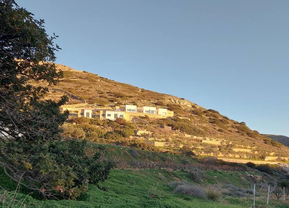 Great House In A Beautiful Olive Grove Villa *