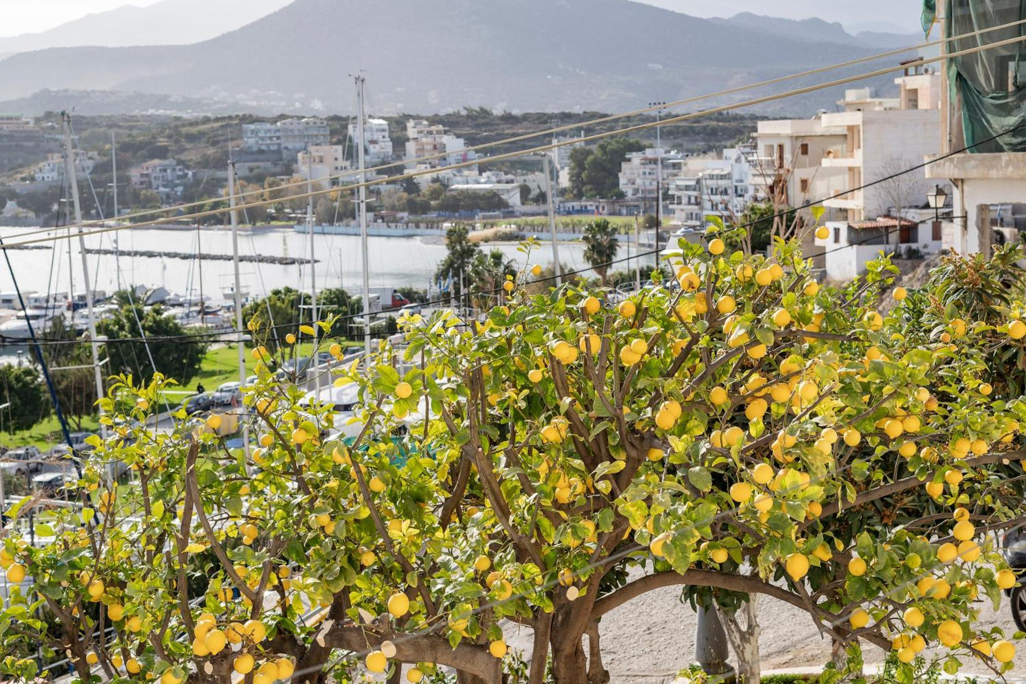 Jelena By The Sea Apartment Agios Nikolaos (Crete)