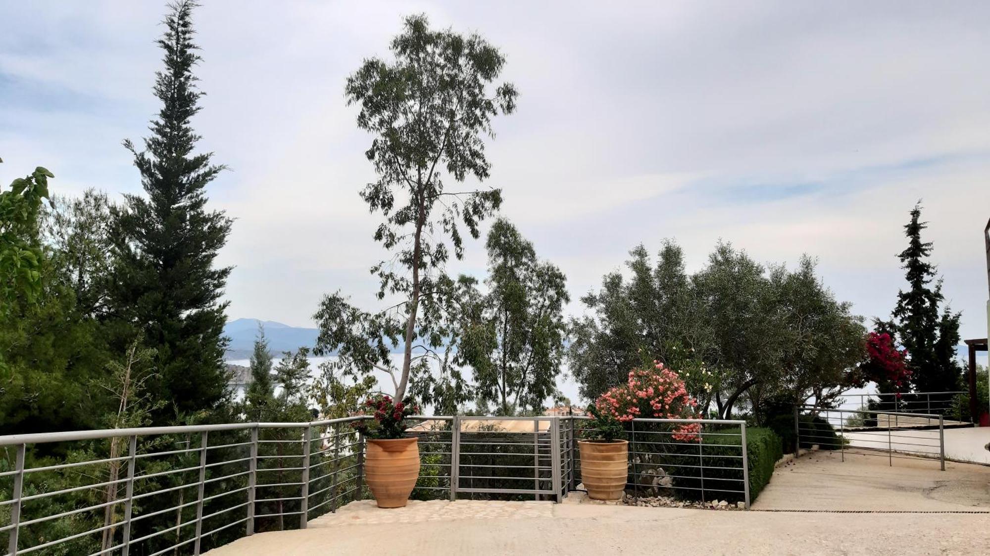 Stone House In Olive Grove Holiday home Tolo