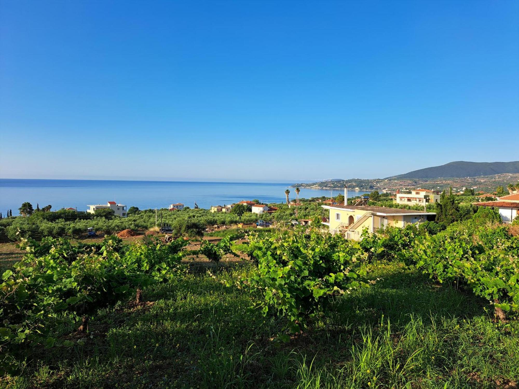 Takis Bizos House 1 Holiday home *