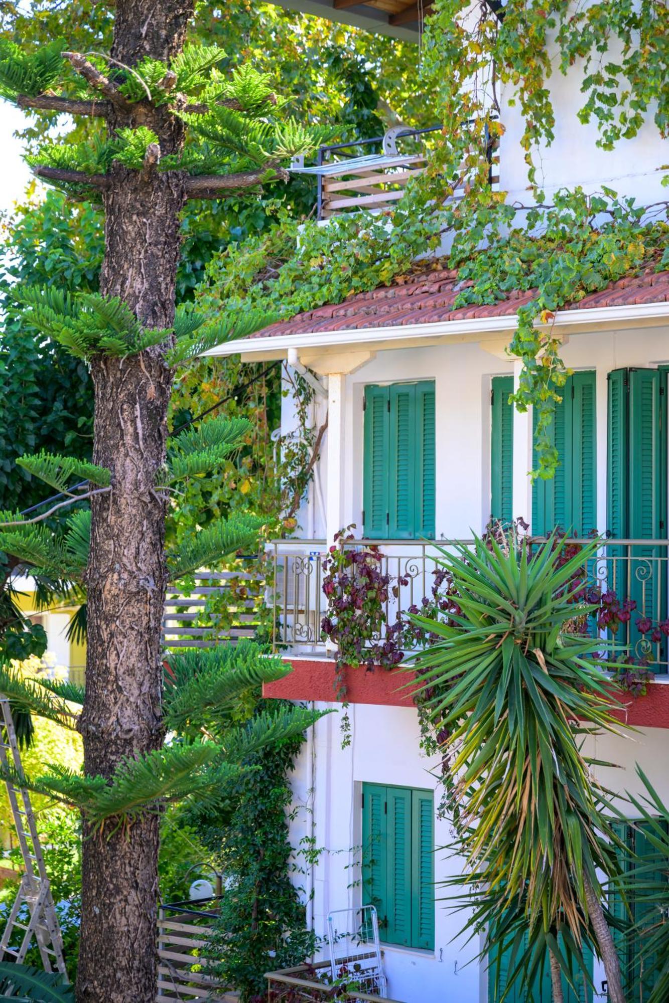 Apartment Ionian Paradise Nydri (Lefkada)