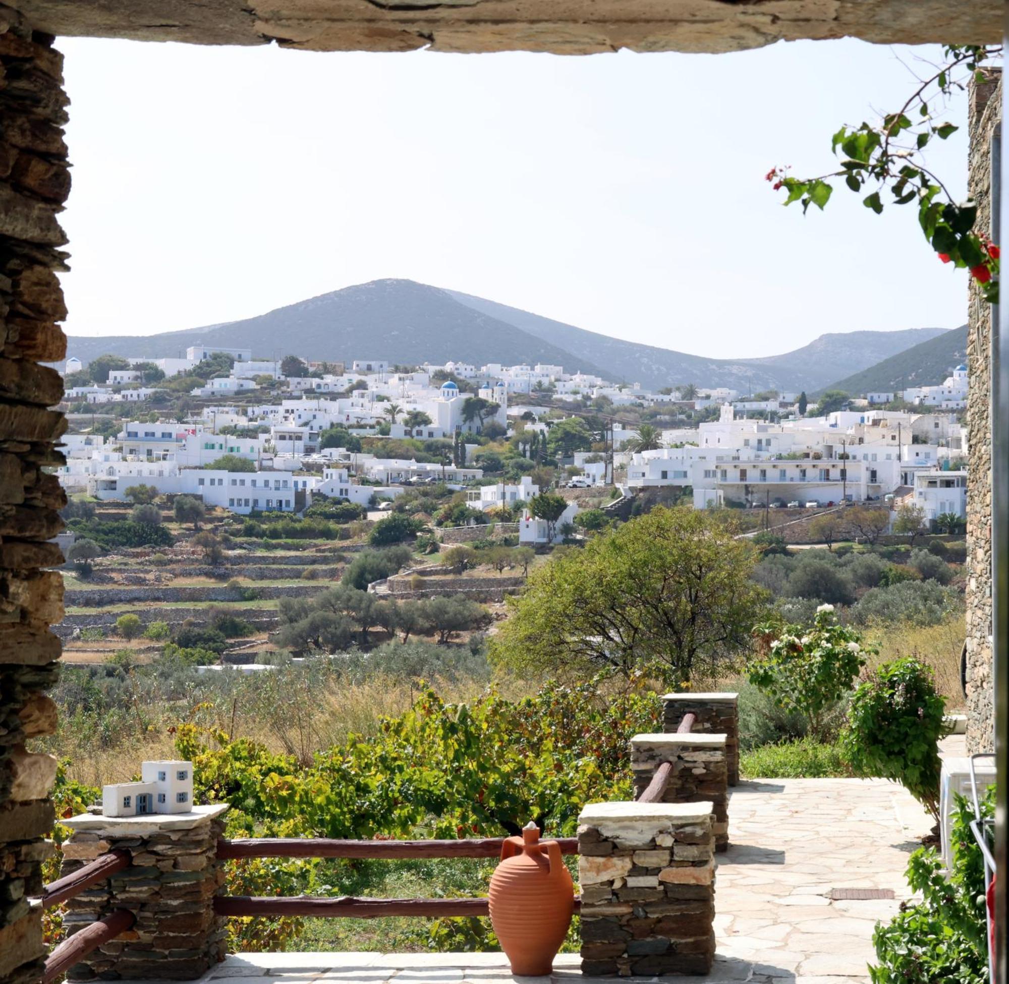 Apollon-artemis Apartment Apollonia (Sifnos)
