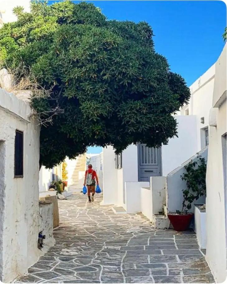 Holiday home Lotzia House Kastron (Sifnos)