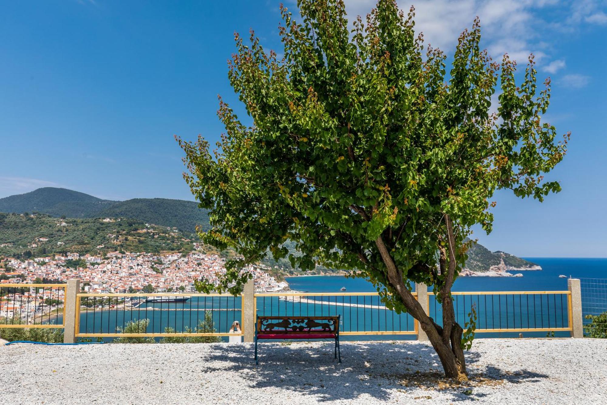 Irene's Paradise * Skopelos Town