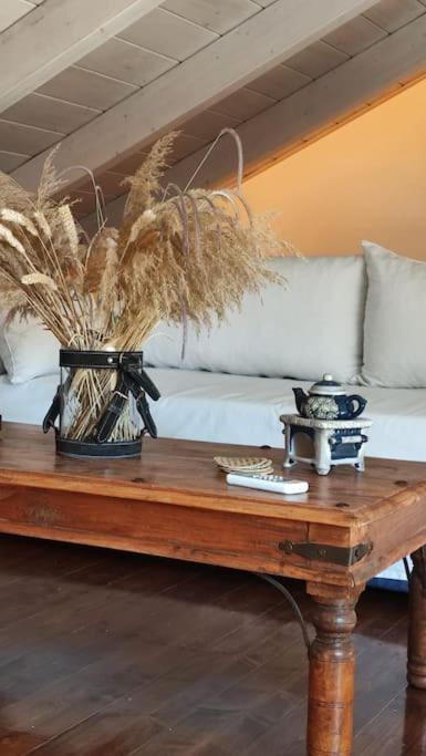 Selene Seaside Apartment Lygia (Lefkada)