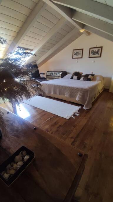 Selene Seaside Apartment *