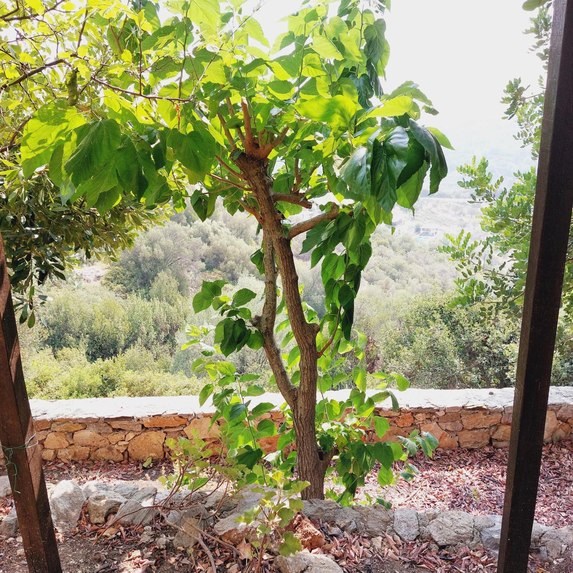 Holiday home Sunrise House Alonnisos Town