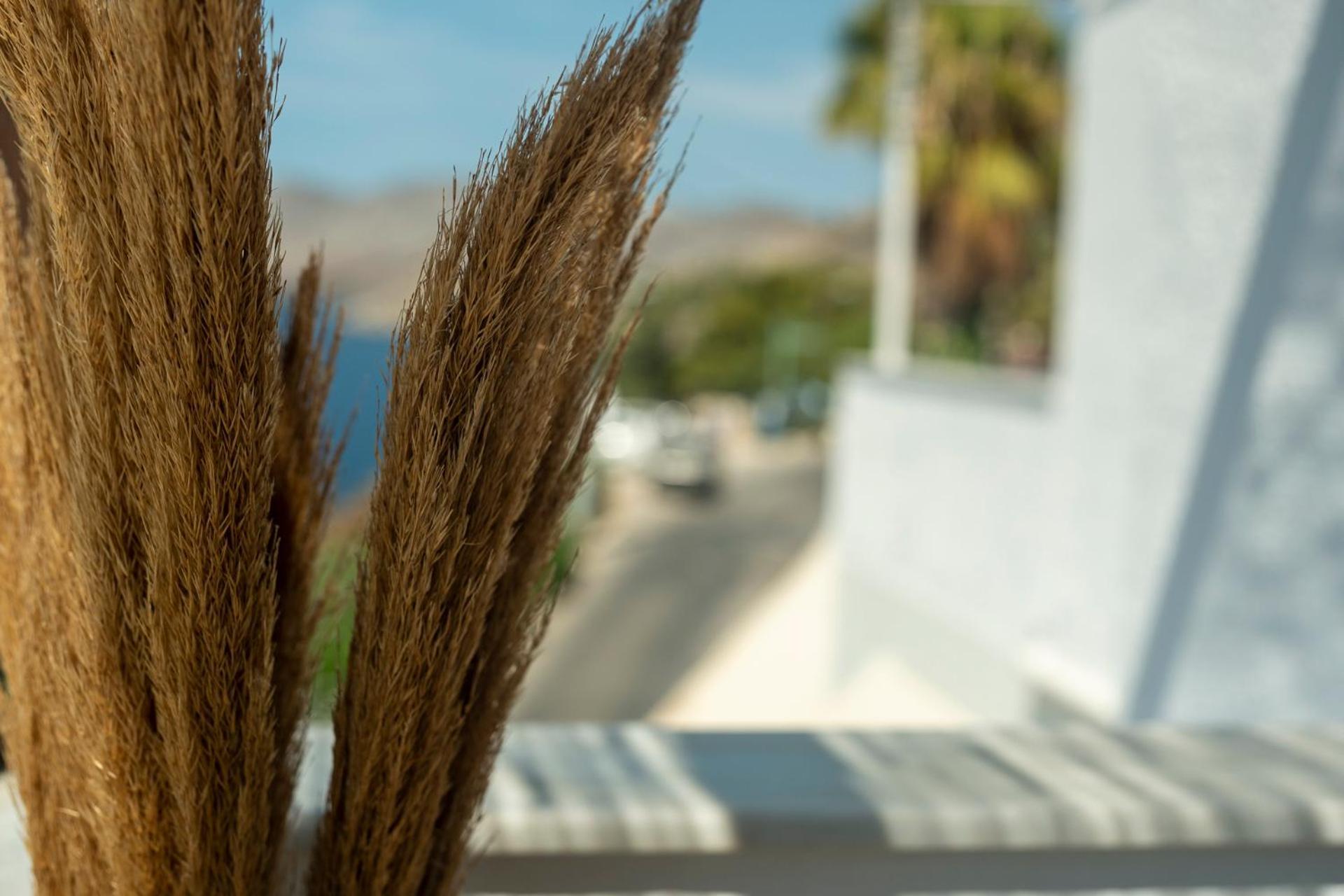 Apartment Manifesto Ii Kalymnos Town