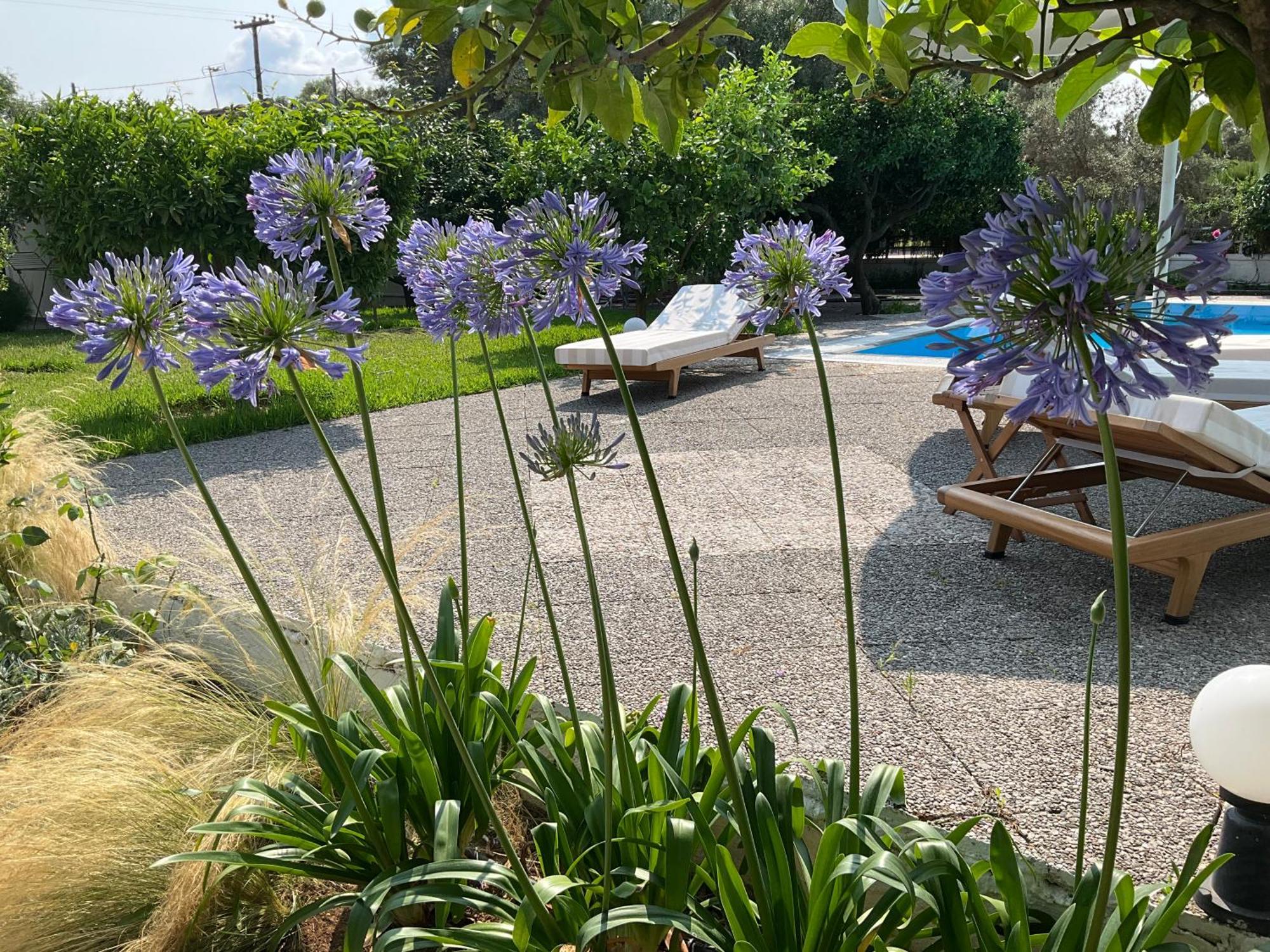 Apartment Marina Lefkada City