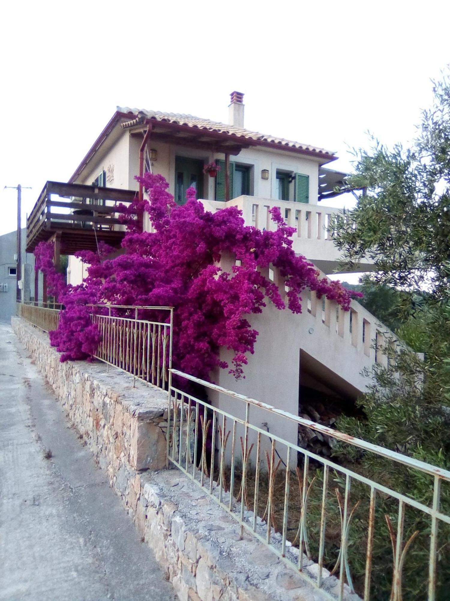 Boucamvillia's Luxury House * Alonnisos Town