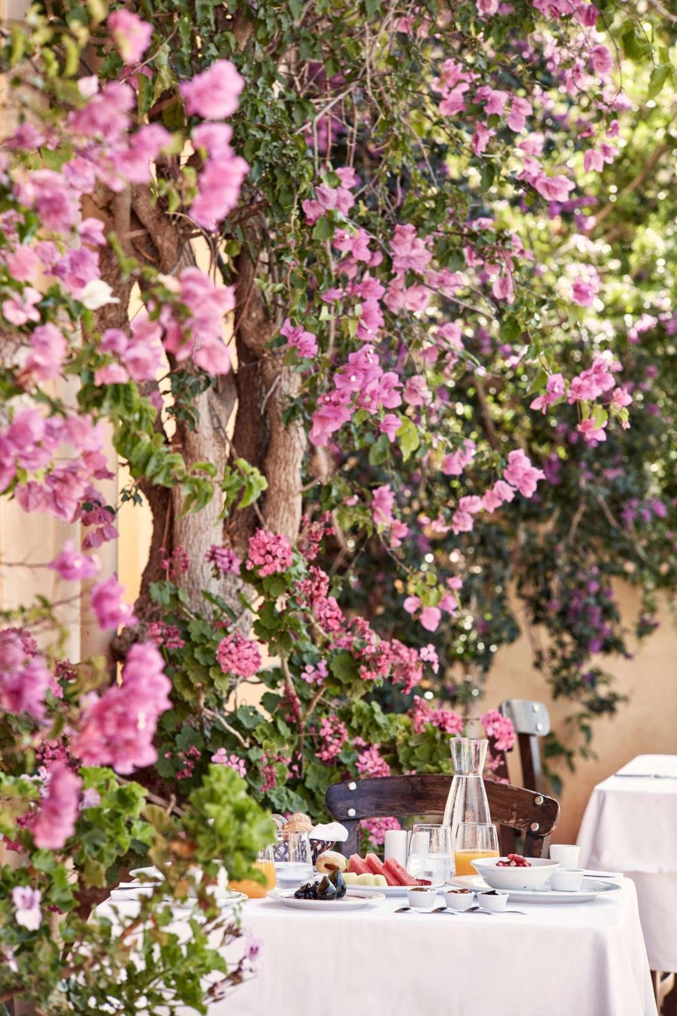 Hotel Candia Park Village 4*