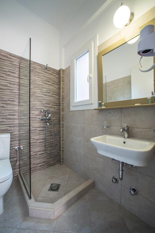 Guest house Vassilis Anthousa (Epirus)