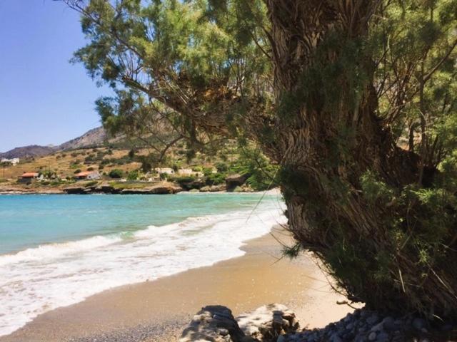 Holiday home Kavousi - O Stavlos *