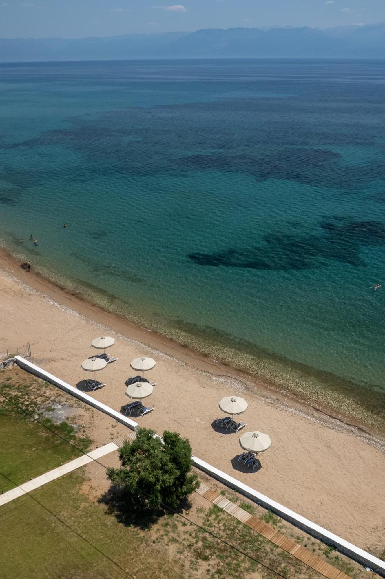 Greek Dream Agios Andreas (Messenia)