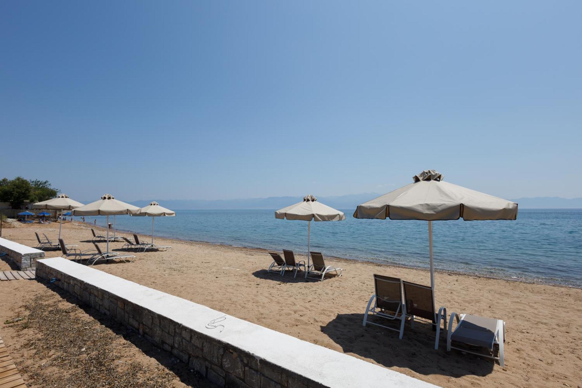 Greek Dream *