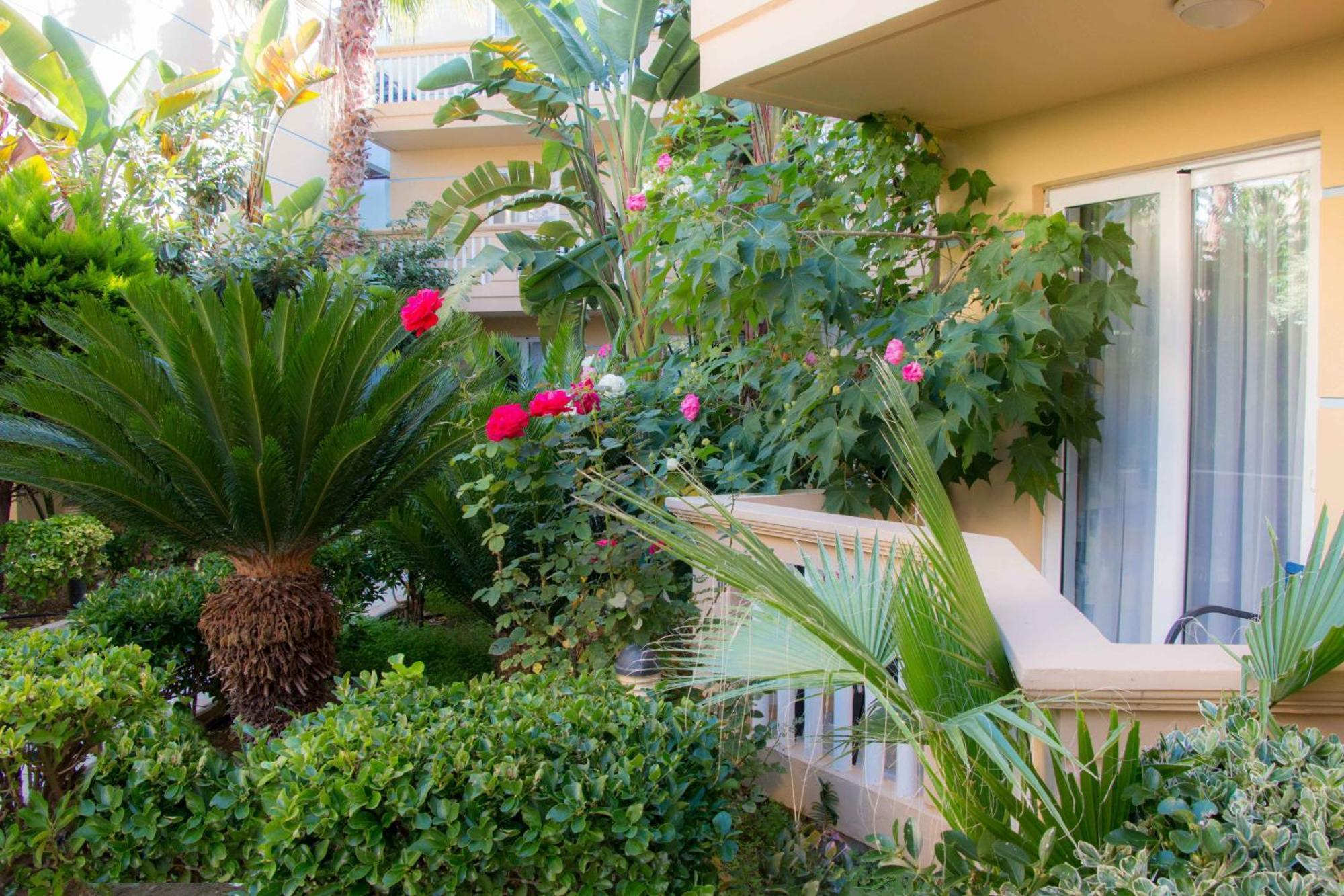 Aparthotel Futura Maleme (Crete)