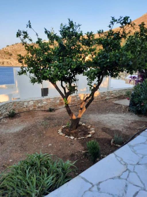 Kochili. Villa Symi