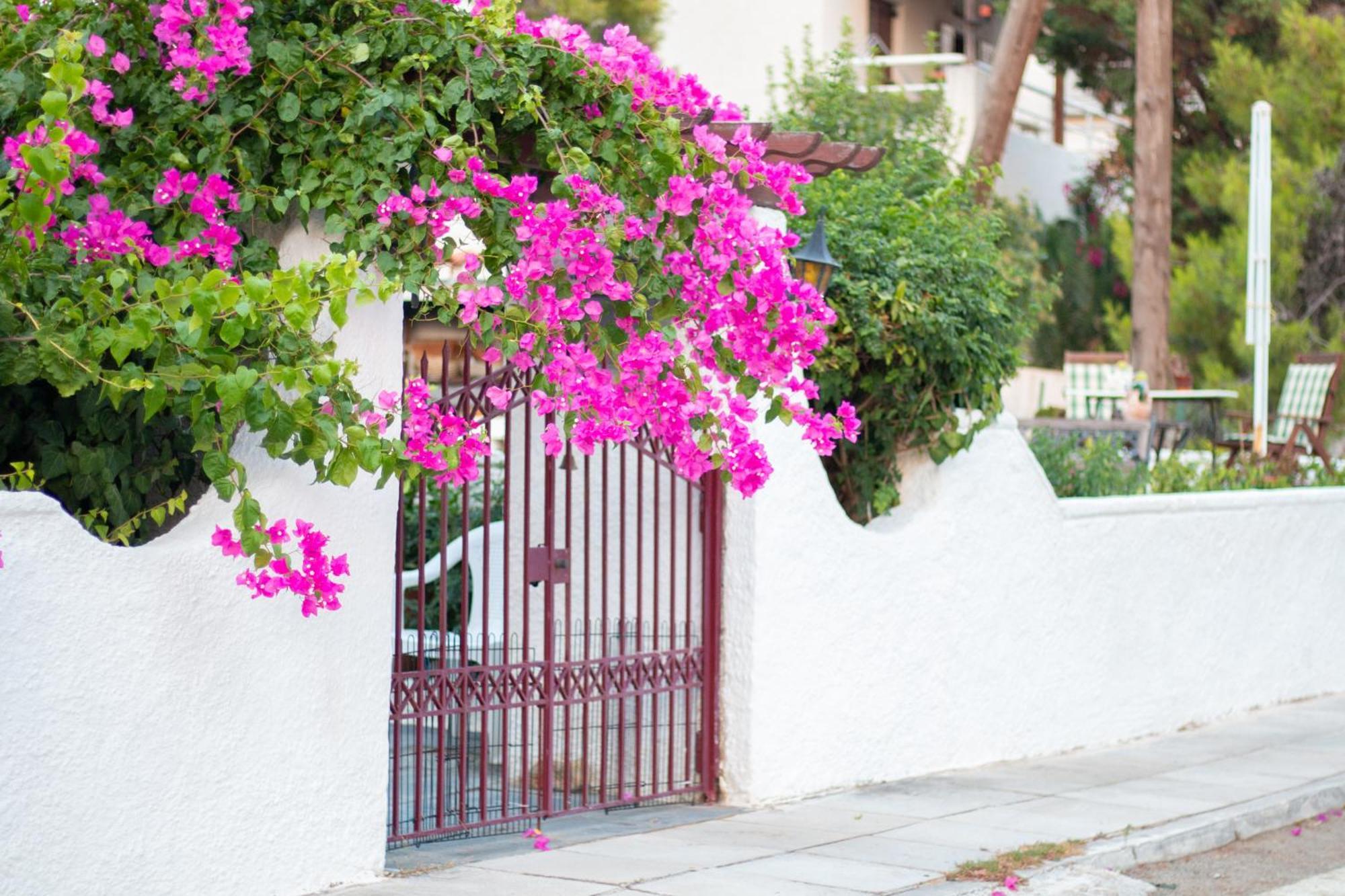 Seaview - Poros Relaxing Beachfront Flat Poros Town