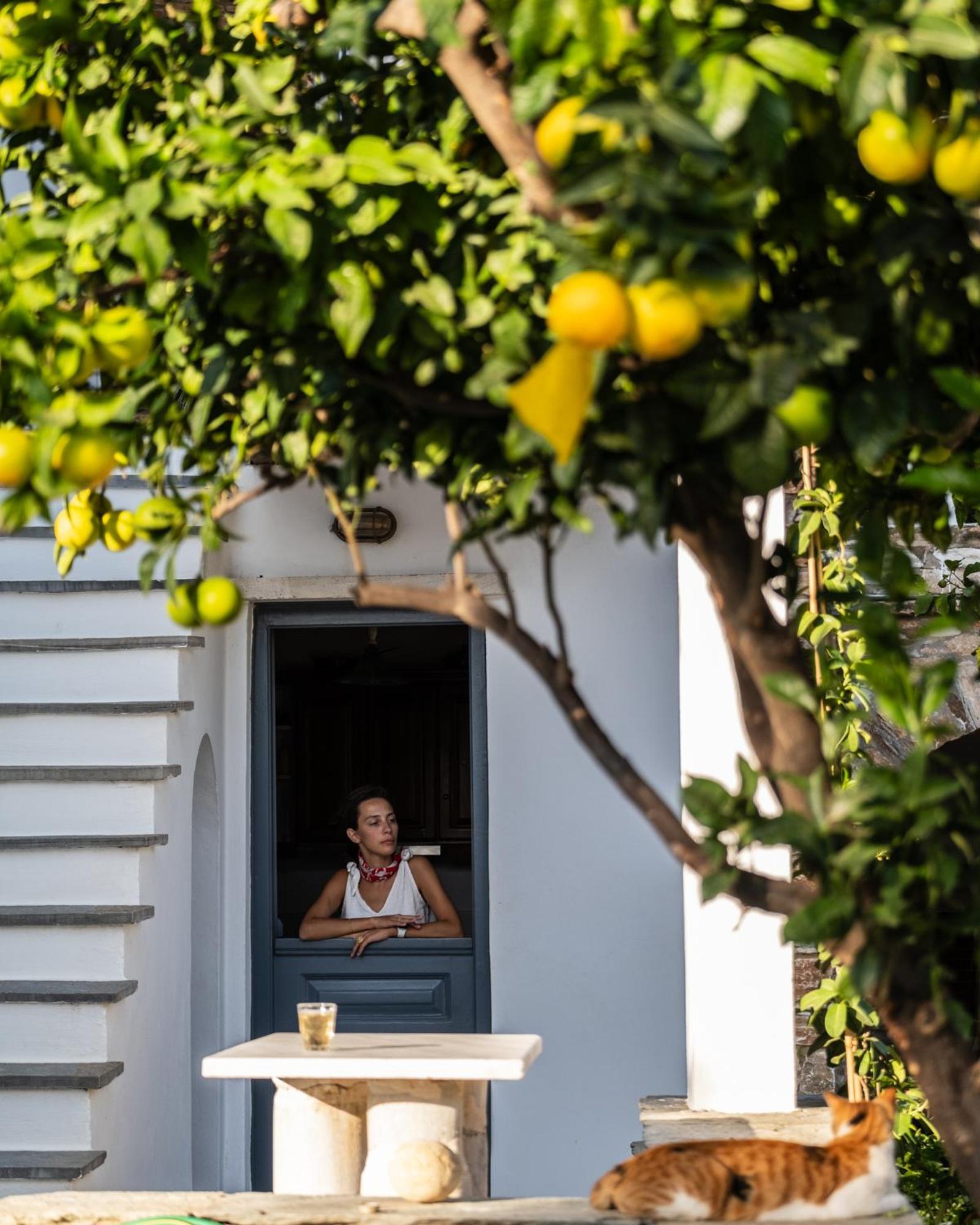 Romano Garden House - Land Tales * Agios Romanos