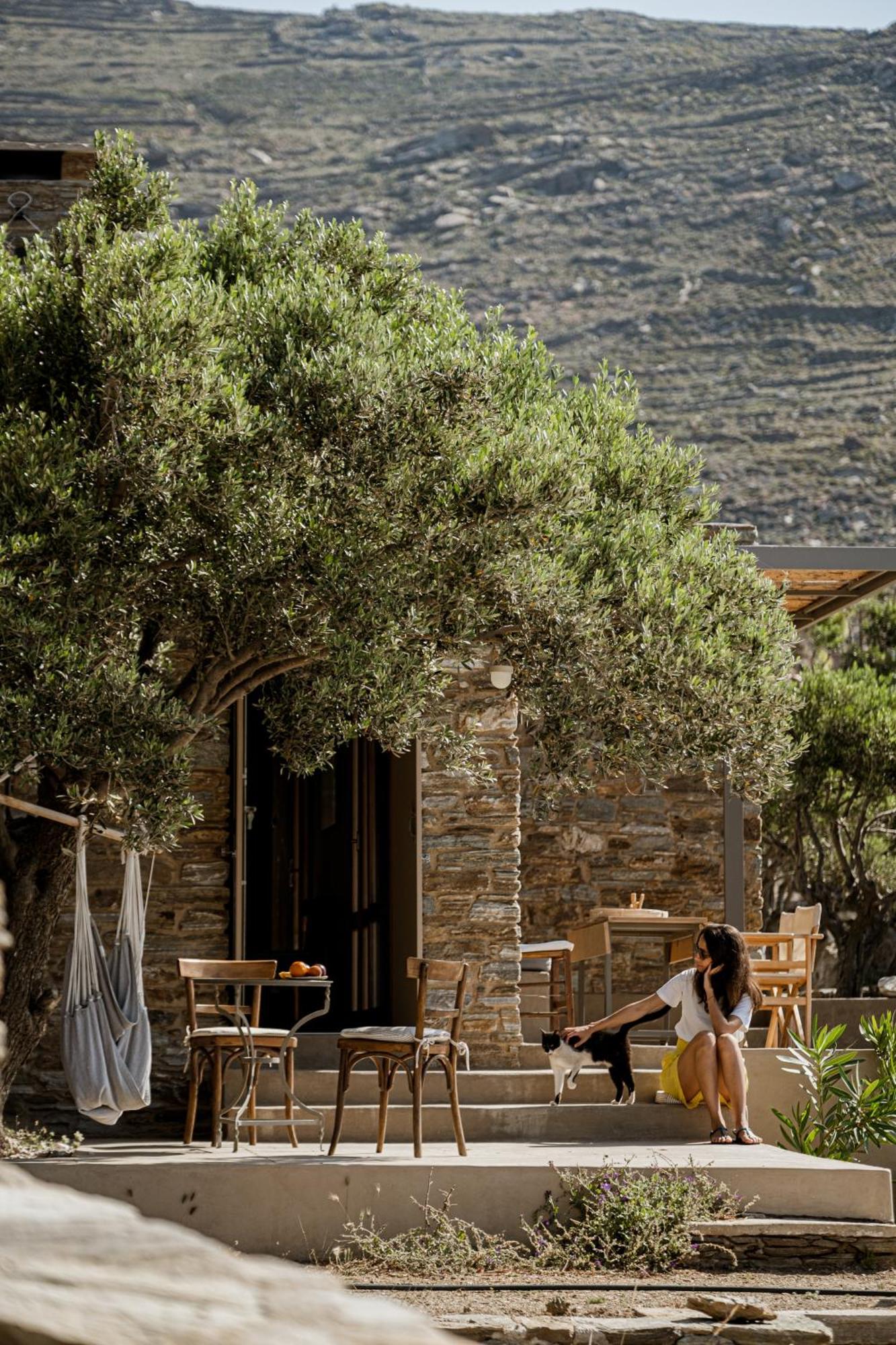 Avdos' Olive House - Land Tales Holiday home *