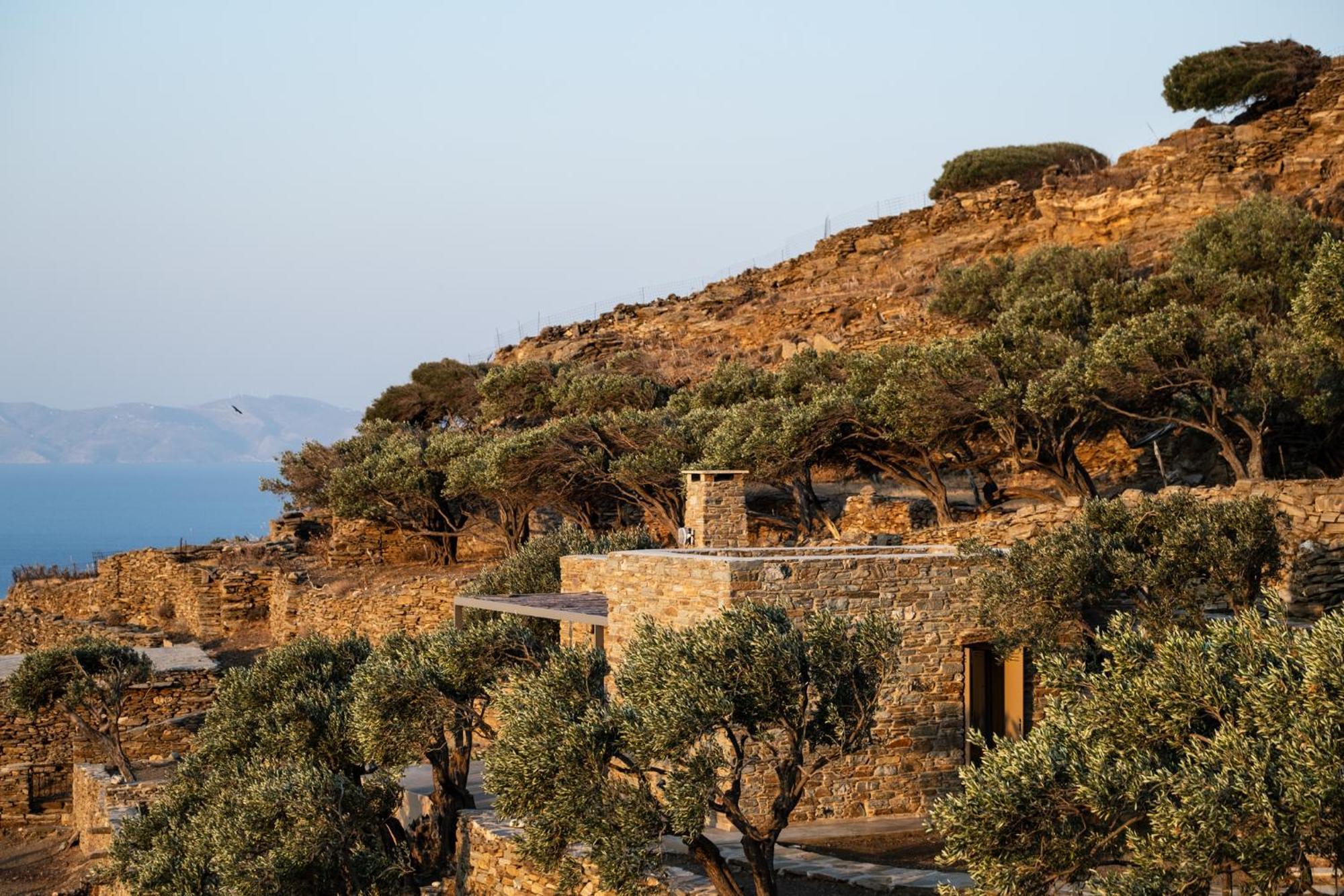 Holiday home Avdos' Olive House - Land Tales