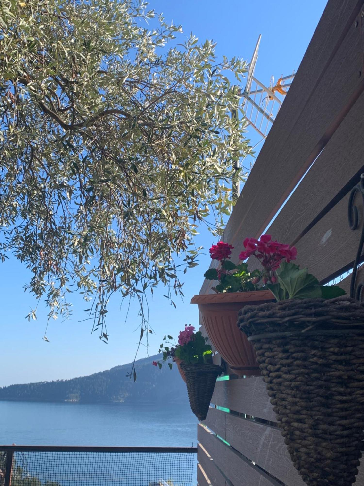 Villa Waterview Chrysi Ammoudia