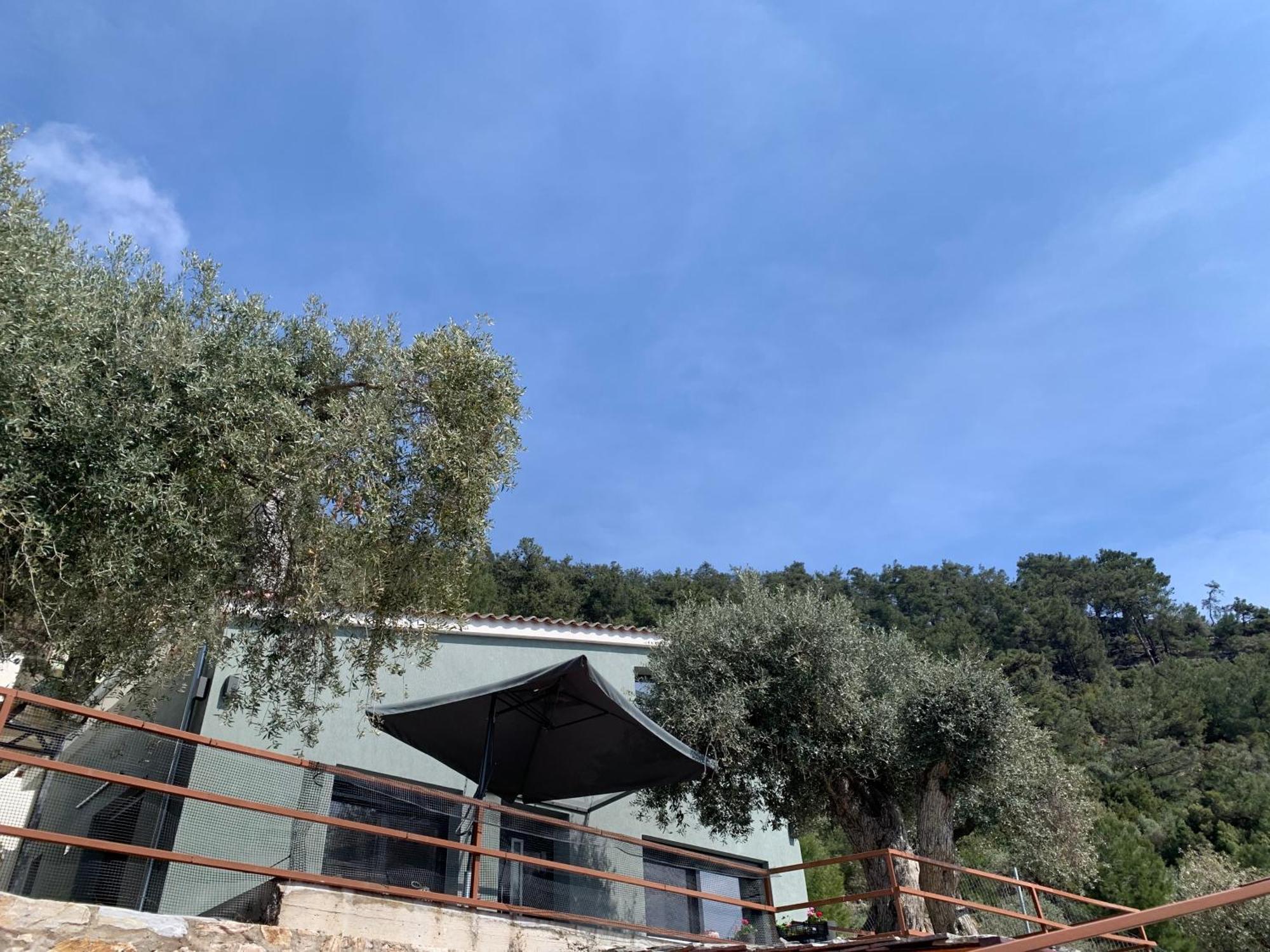 Waterview Villa Chrysi Ammoudia