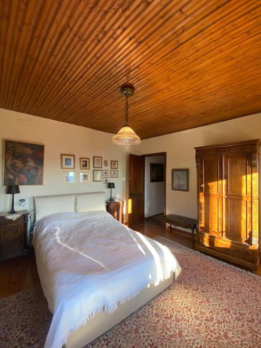 Cozy View Holiday home Arachova