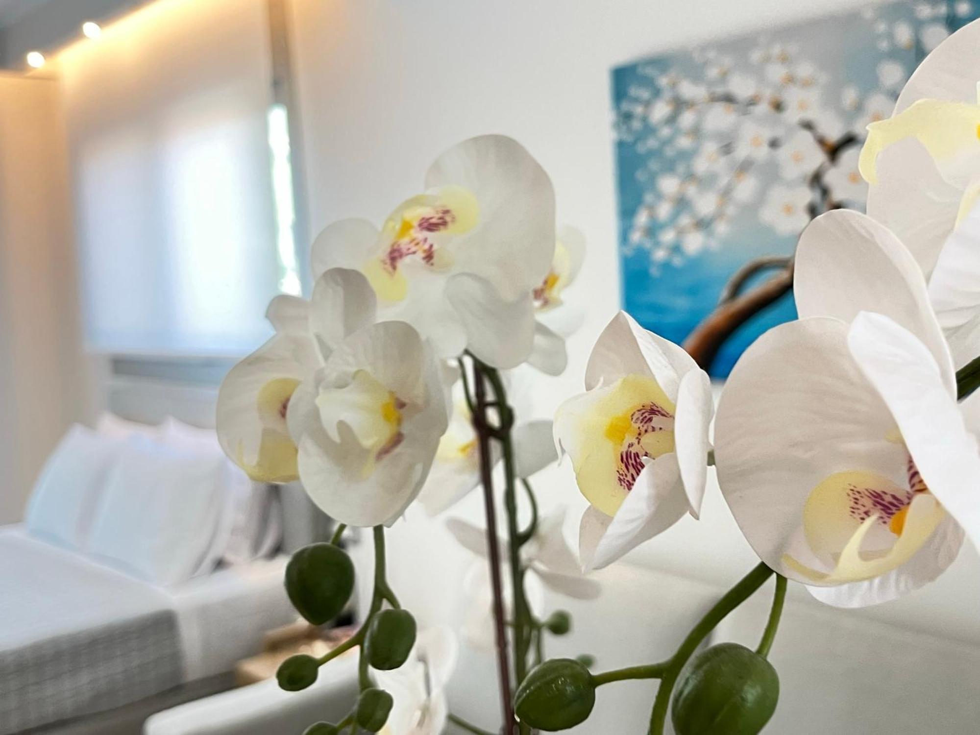Aparthotel Maison Deluxe And Parga