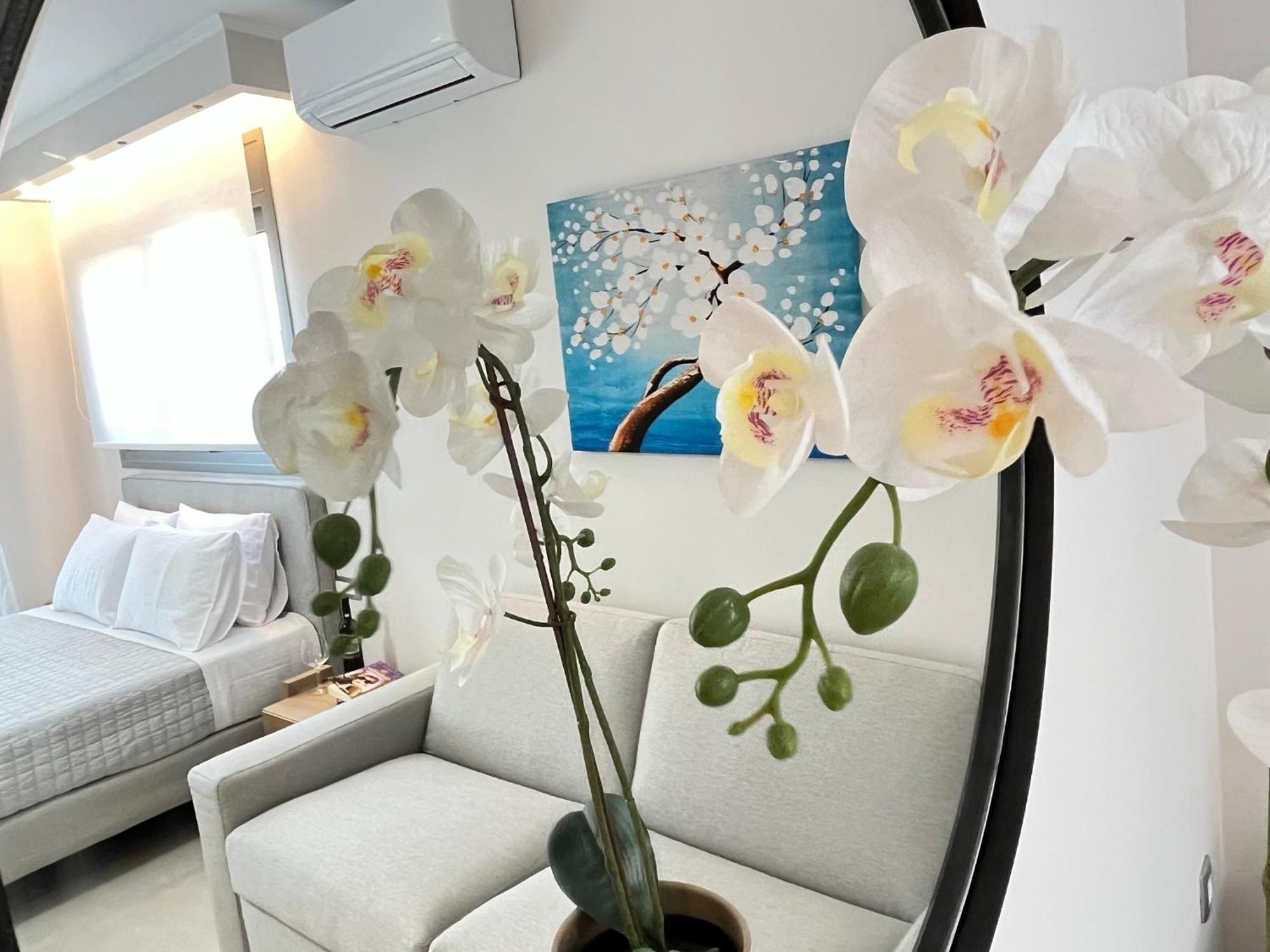 Aparthotel Maison Deluxe And Parga