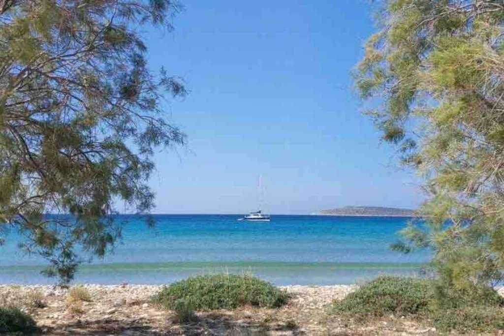 New Cycladic House ¨agroktima Katerina¨ Holiday home *