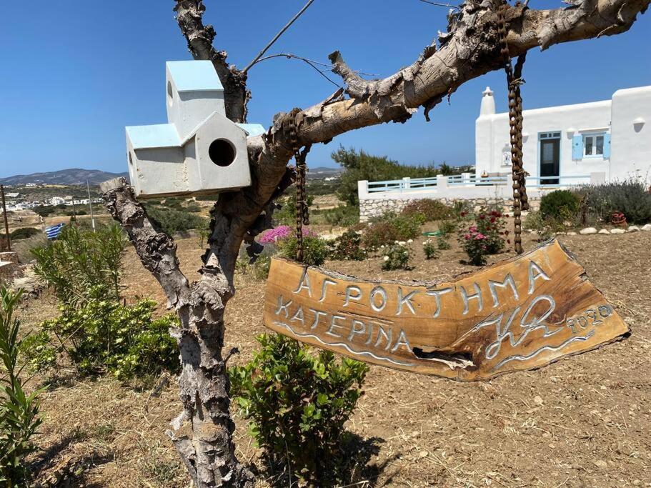 Holiday home New Cycladic House ¨agroktima Katerina¨ *