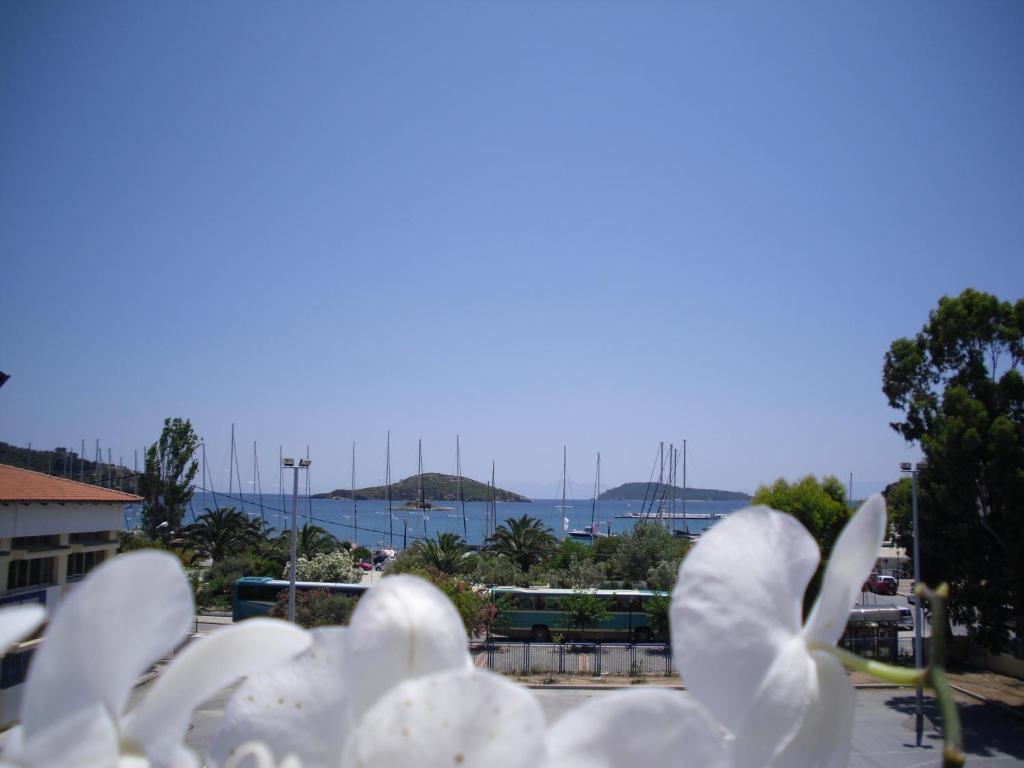 Ifigenia Skiathos Town