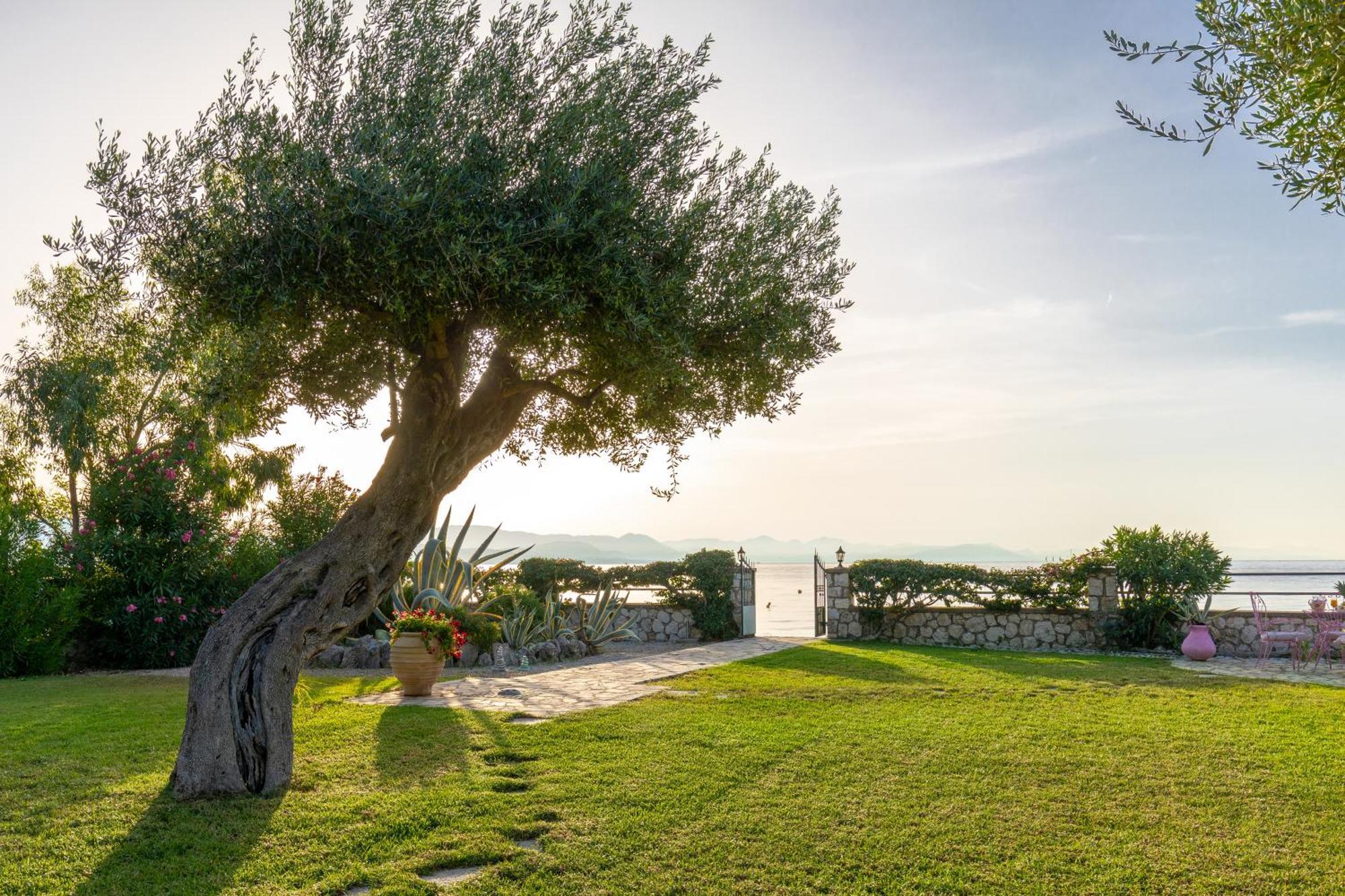 Villa Cote Jardin Barbati