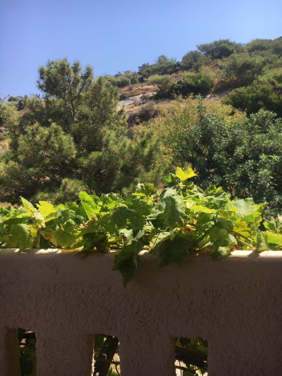 Sini 3a Apartment