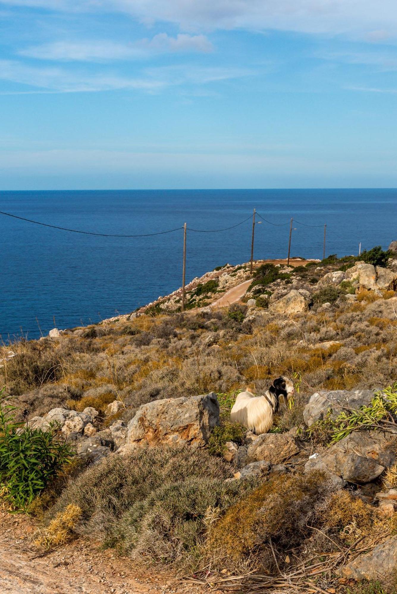 Kara Mia By Apokoronas-villas Villa Kokkino Chorio
