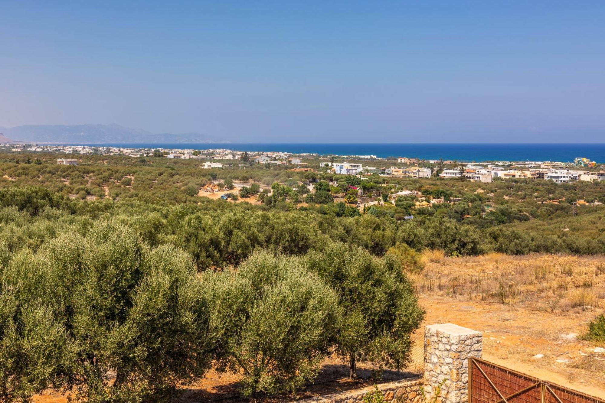 γηorganic Farm And Houses. Apartment