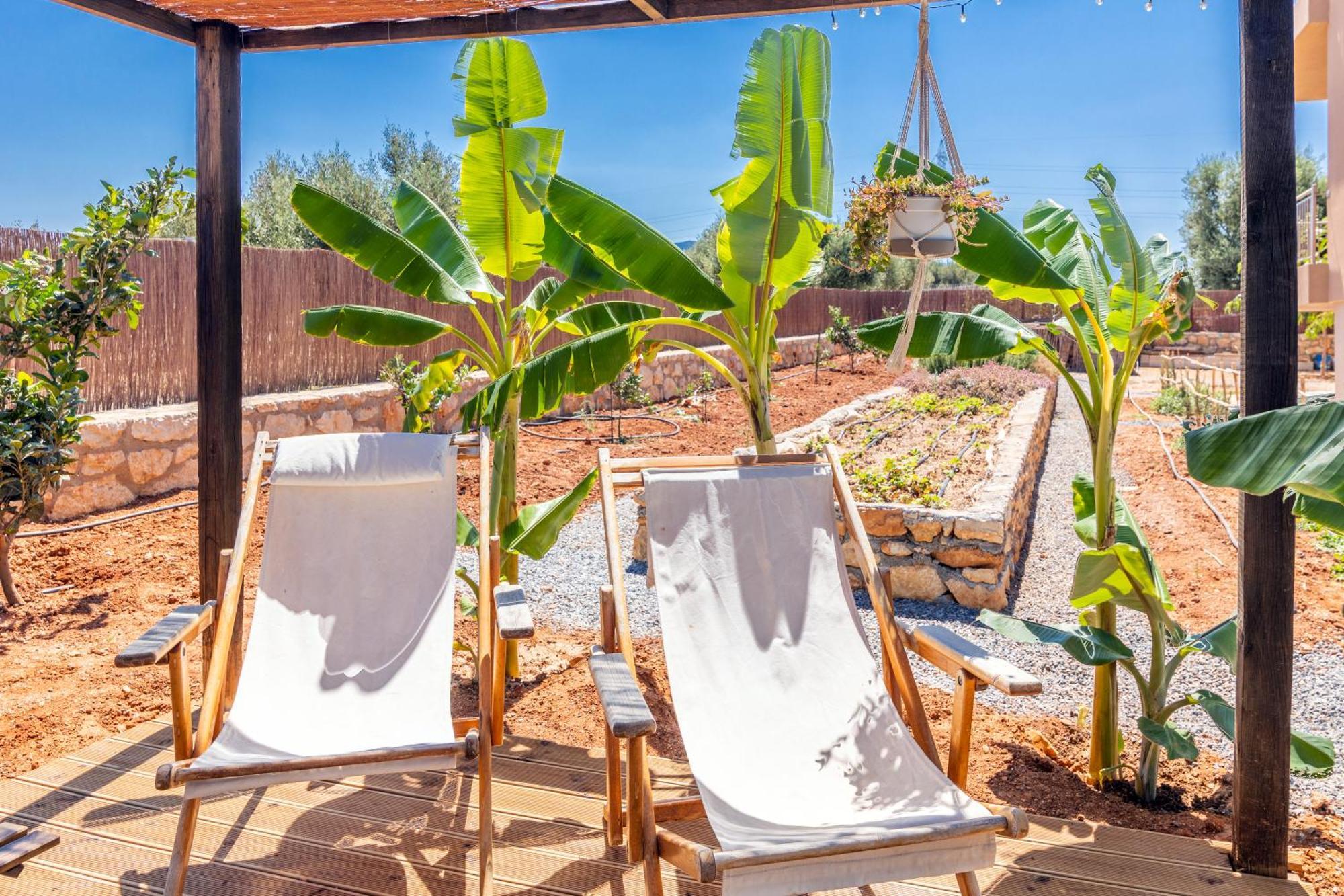 γηorganic Farm And Houses. Apartment